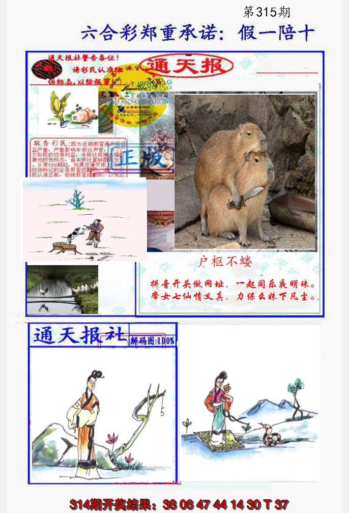 2024315期假一陪十通天报
