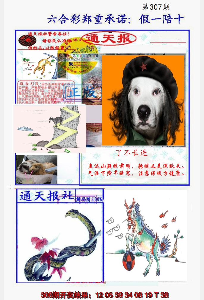 2024307期假一陪十通天报