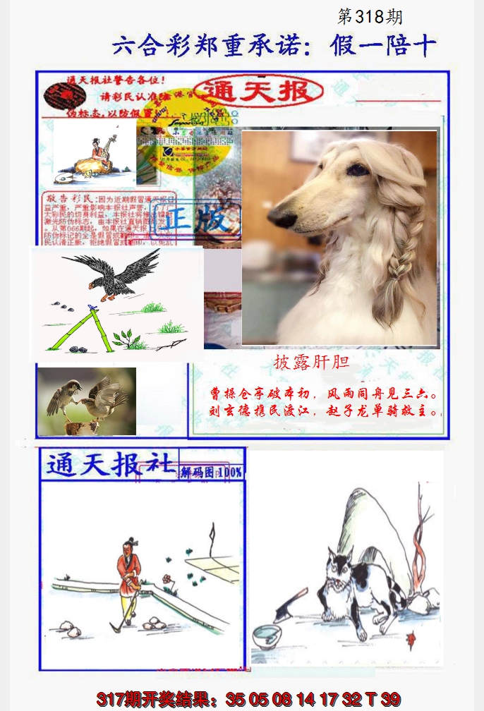 2024318期假一陪十通天报