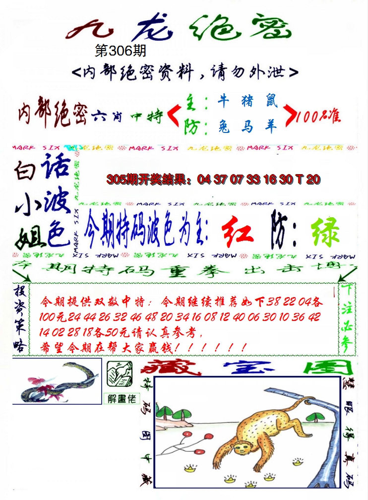 2024306期九龙密报