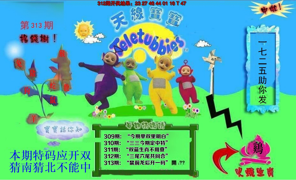 2024313期正版天线宝宝D