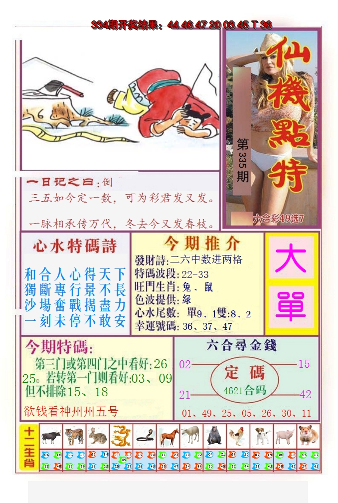 2024335期仙机点特
