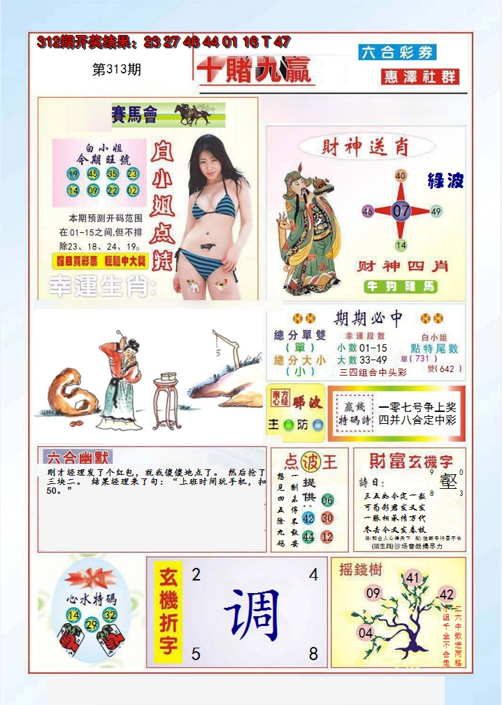 2024313期十赌九羸
