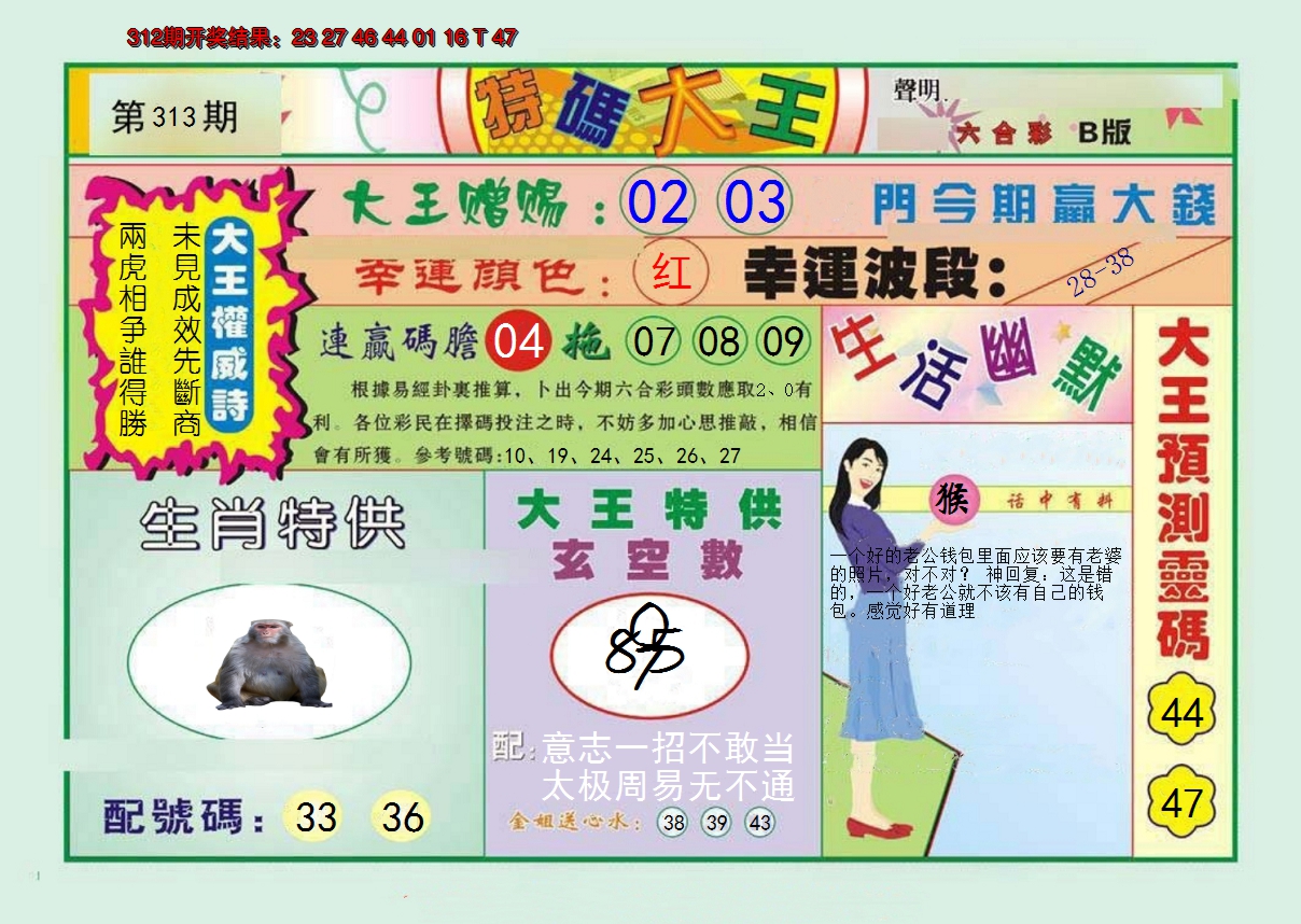 2024313期特码大王B