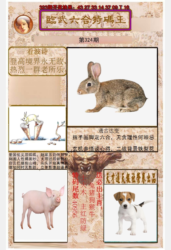 2024324期临武六合特码王