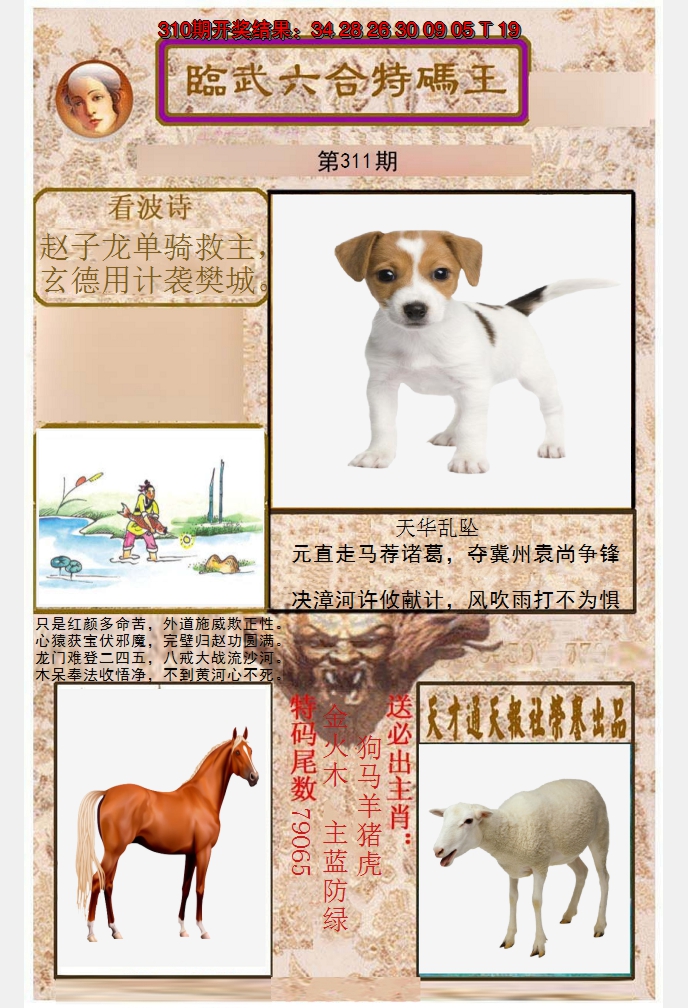 2024311期临武六合特码王