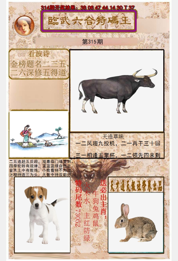 2024315期临武六合特码王
