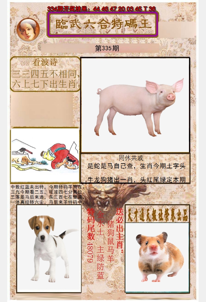 2024335期临武六合特码王