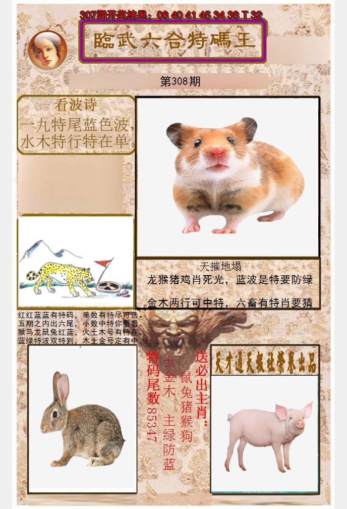 2024308期临武六合特码王