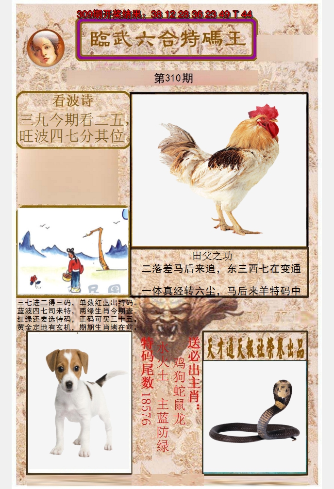 2024310期临武六合特码王