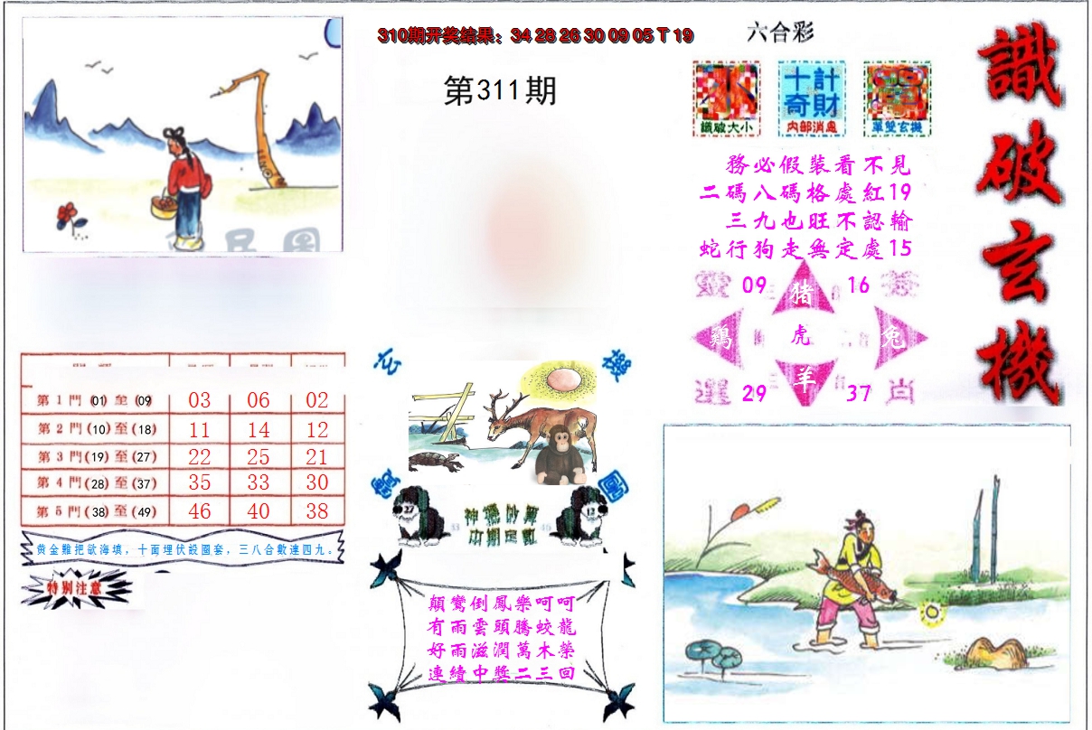 2024311期识破玄机