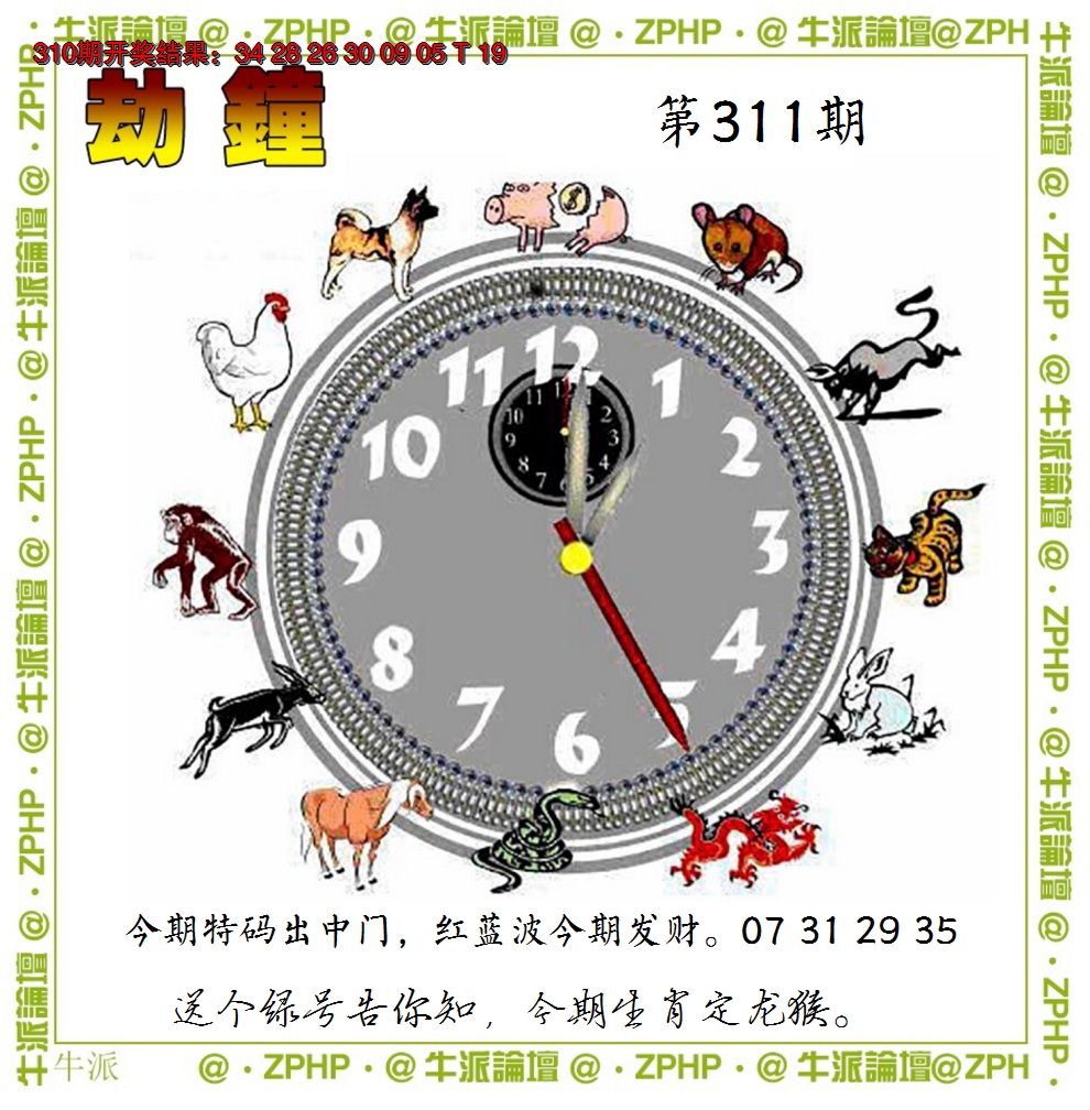 2024311期牛派系列4