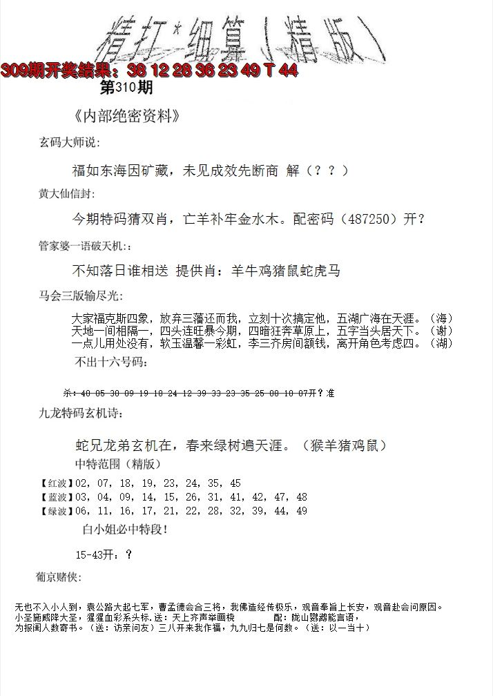 2024310期精大细算精版