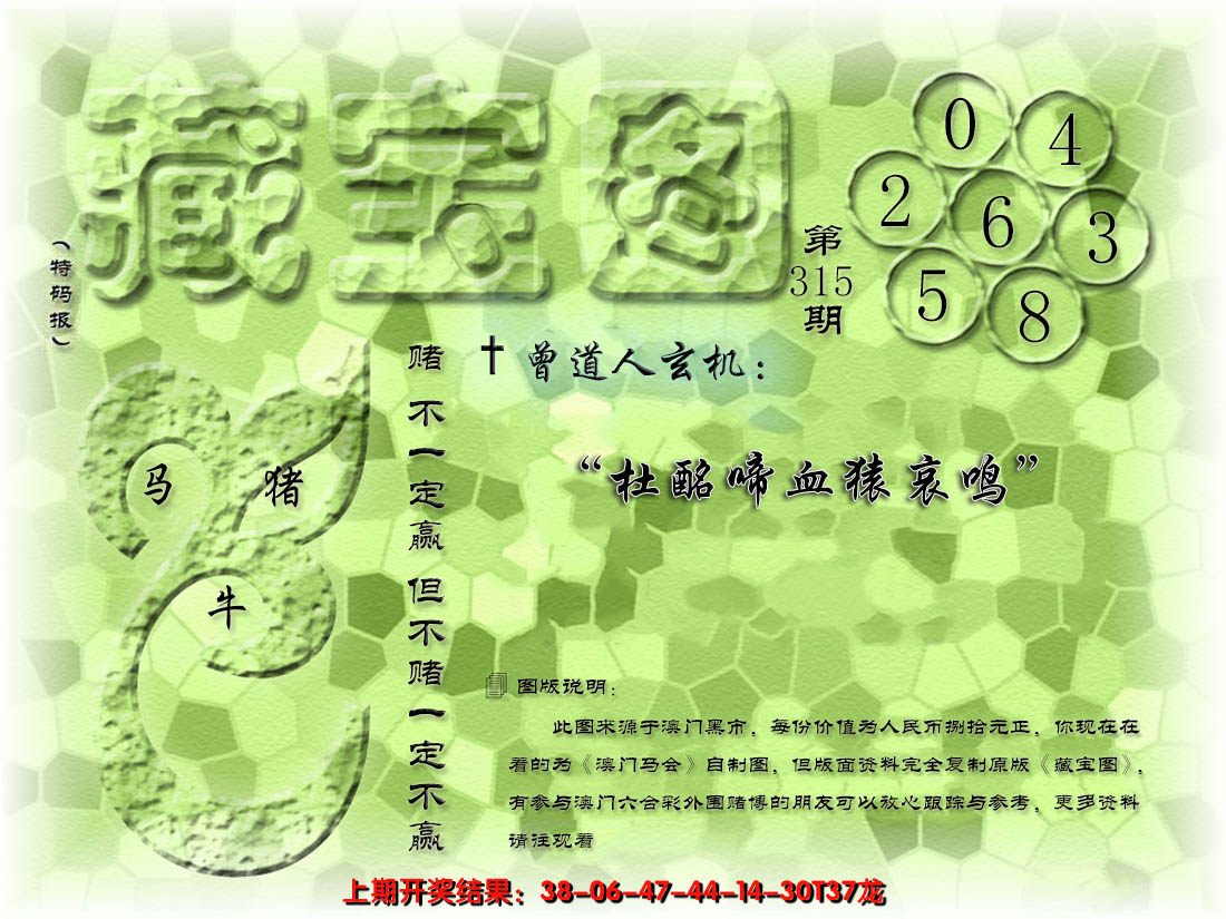 2024315期假新藏宝图