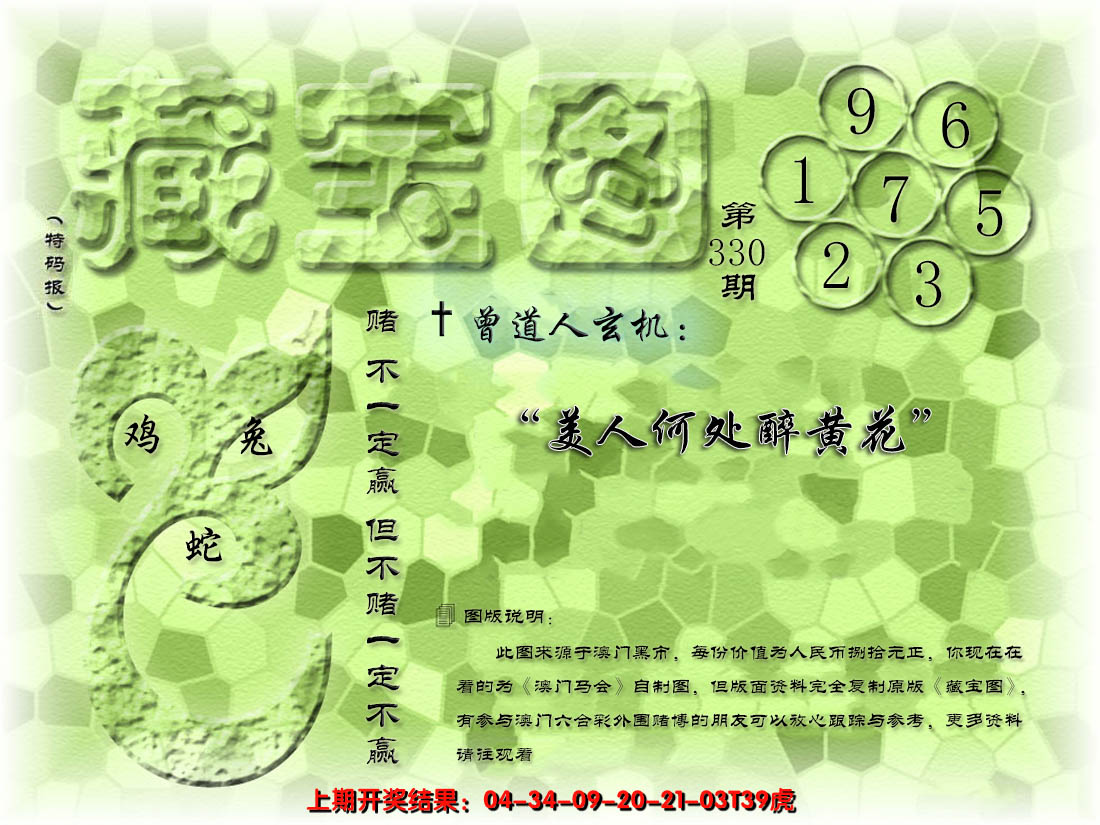 2024330期假新藏宝图