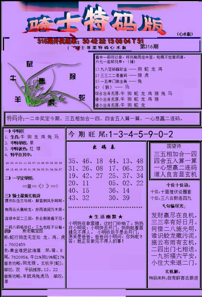 2024316期骑士特码版