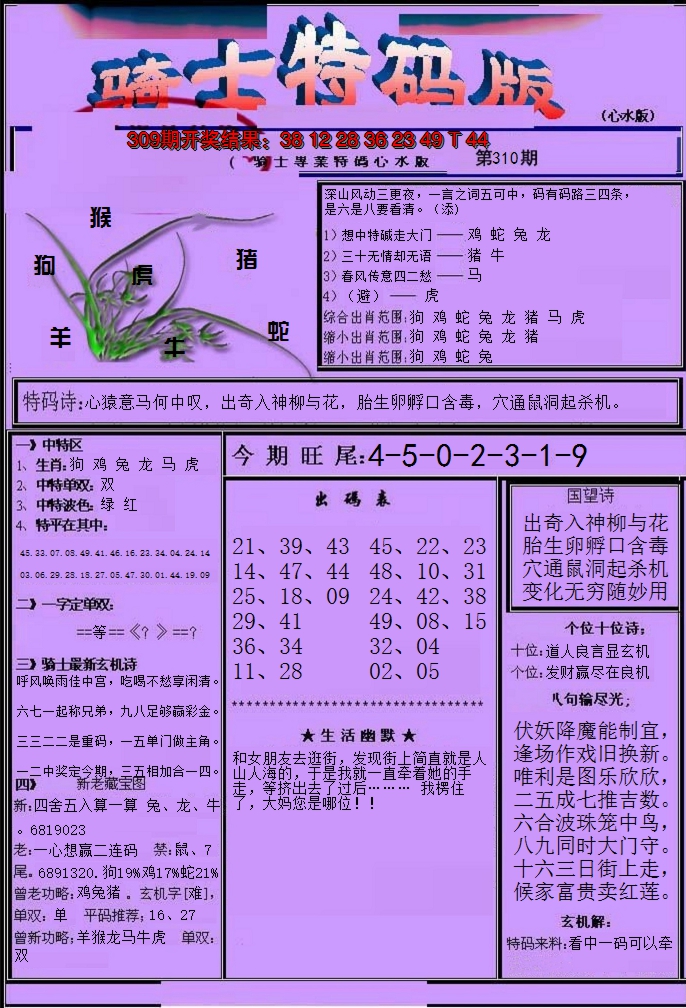 2024310期骑士特码版