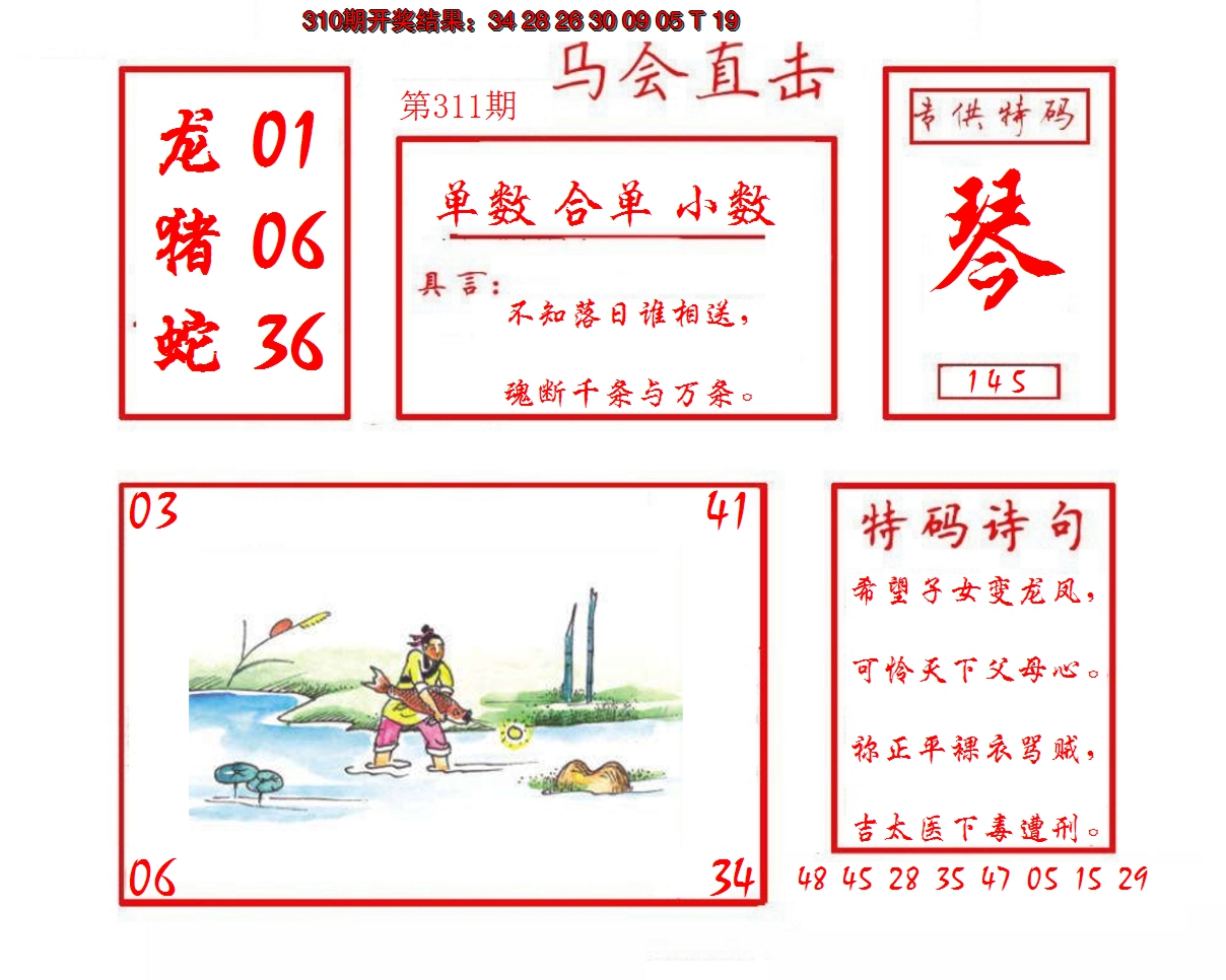 2024311期马会直击