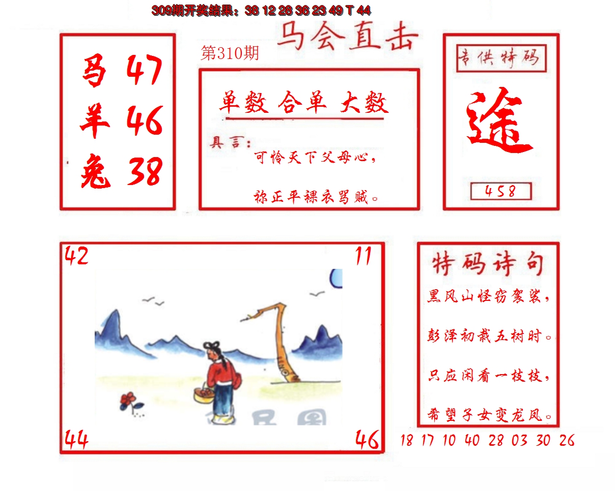 2024310期马会直击