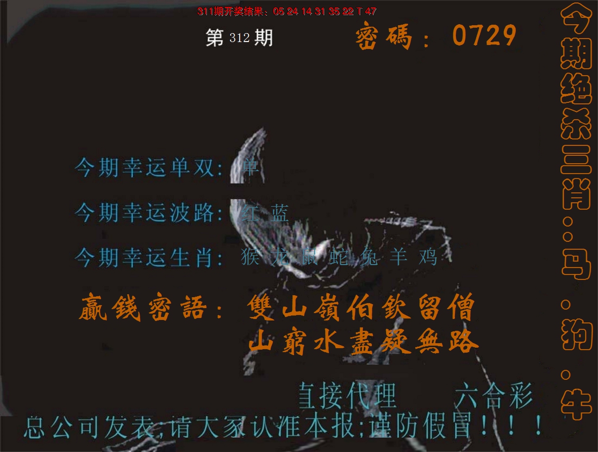 2024312期特码报
