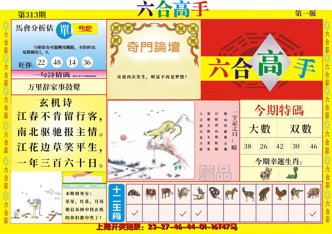 2024313期六合高手A