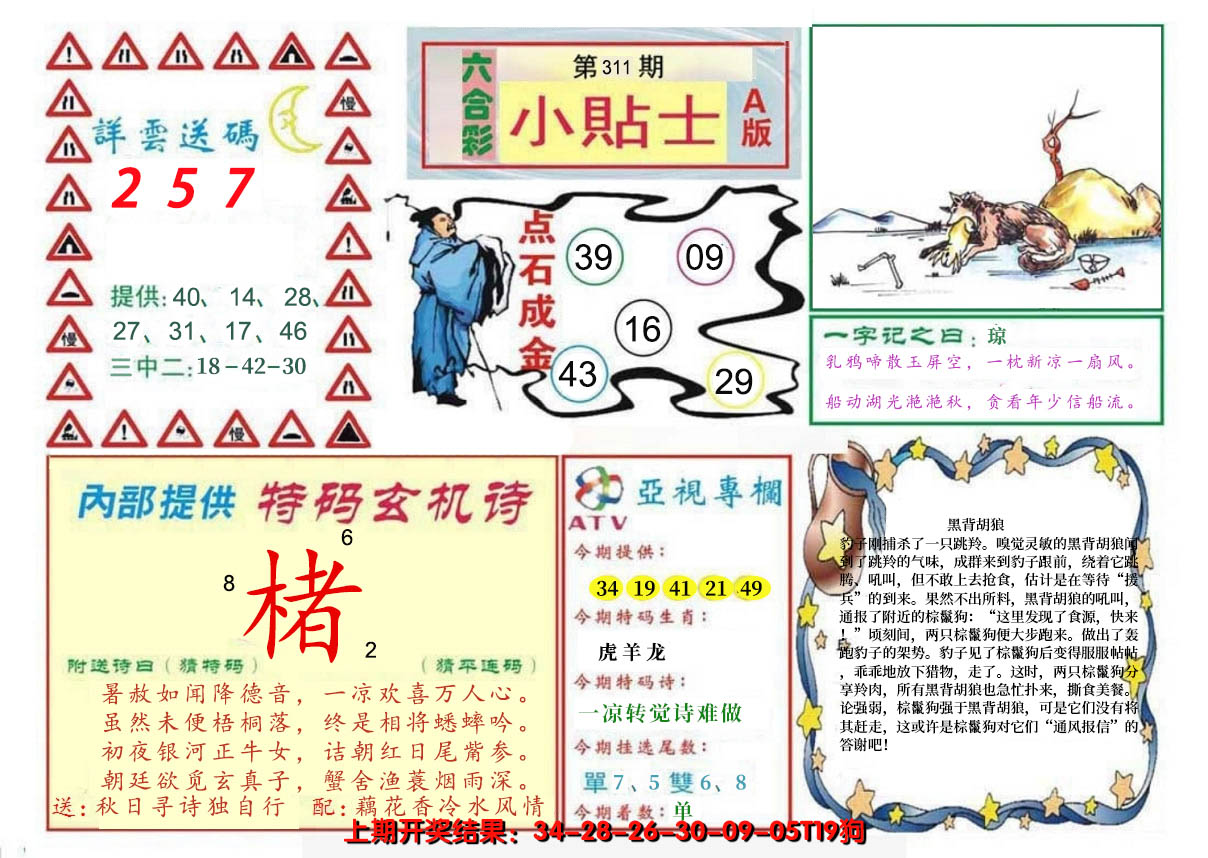 2024311期小贴士A