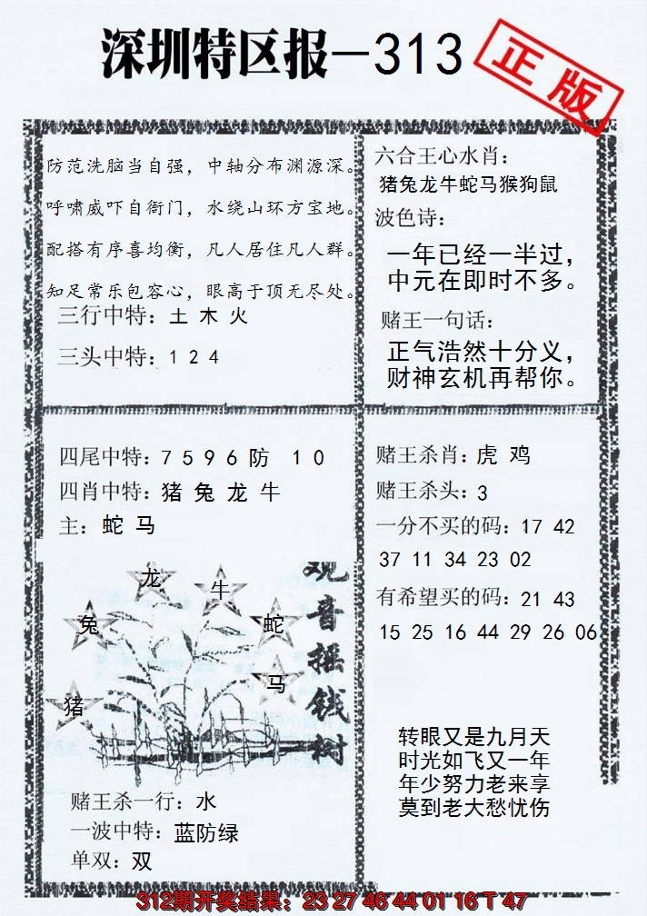 2024313期深圳特区报A