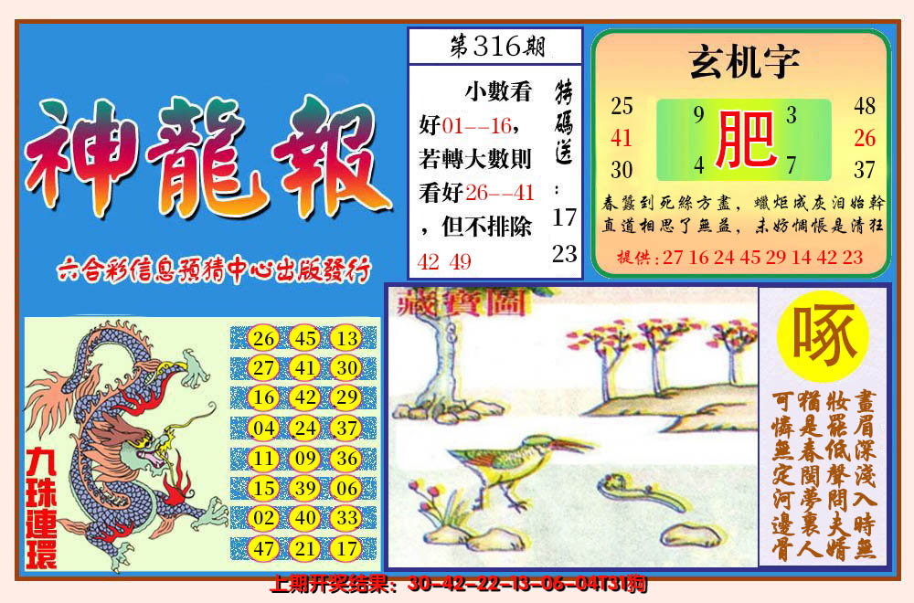 2024316期神龙报