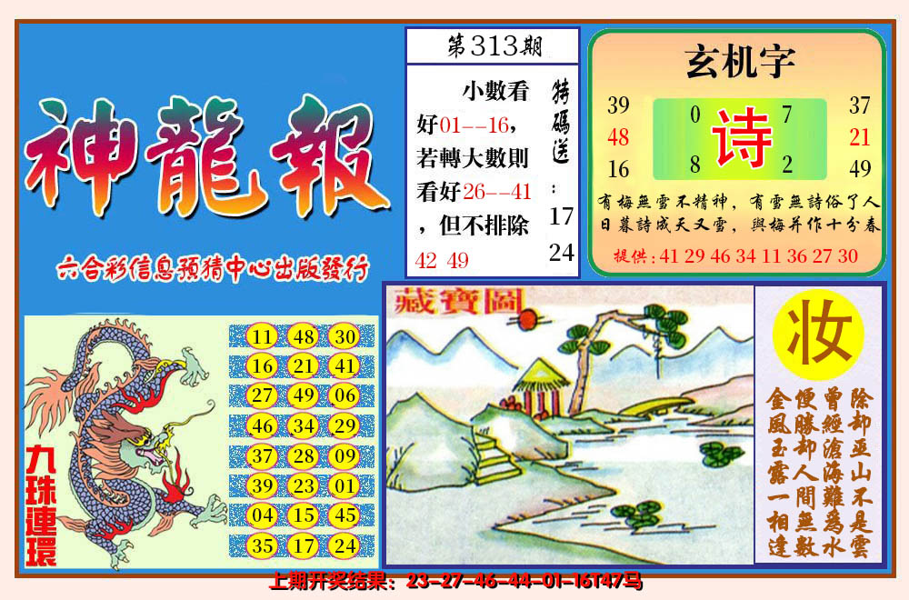 2024313期神龙报