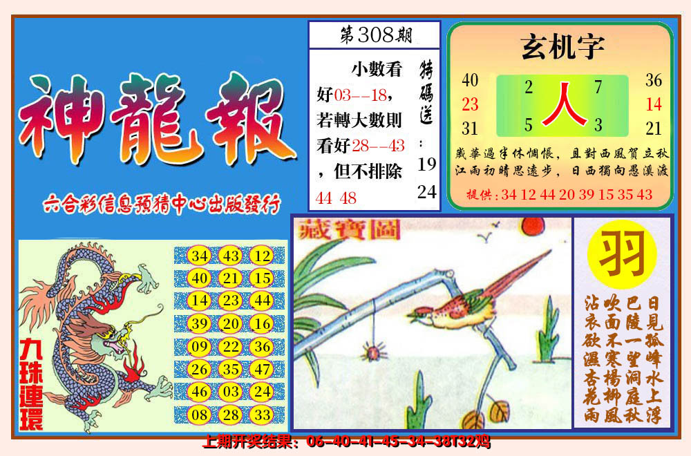 2024308期神龙报