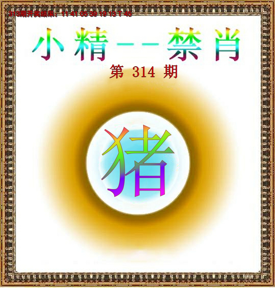 2024314期小精禁肖