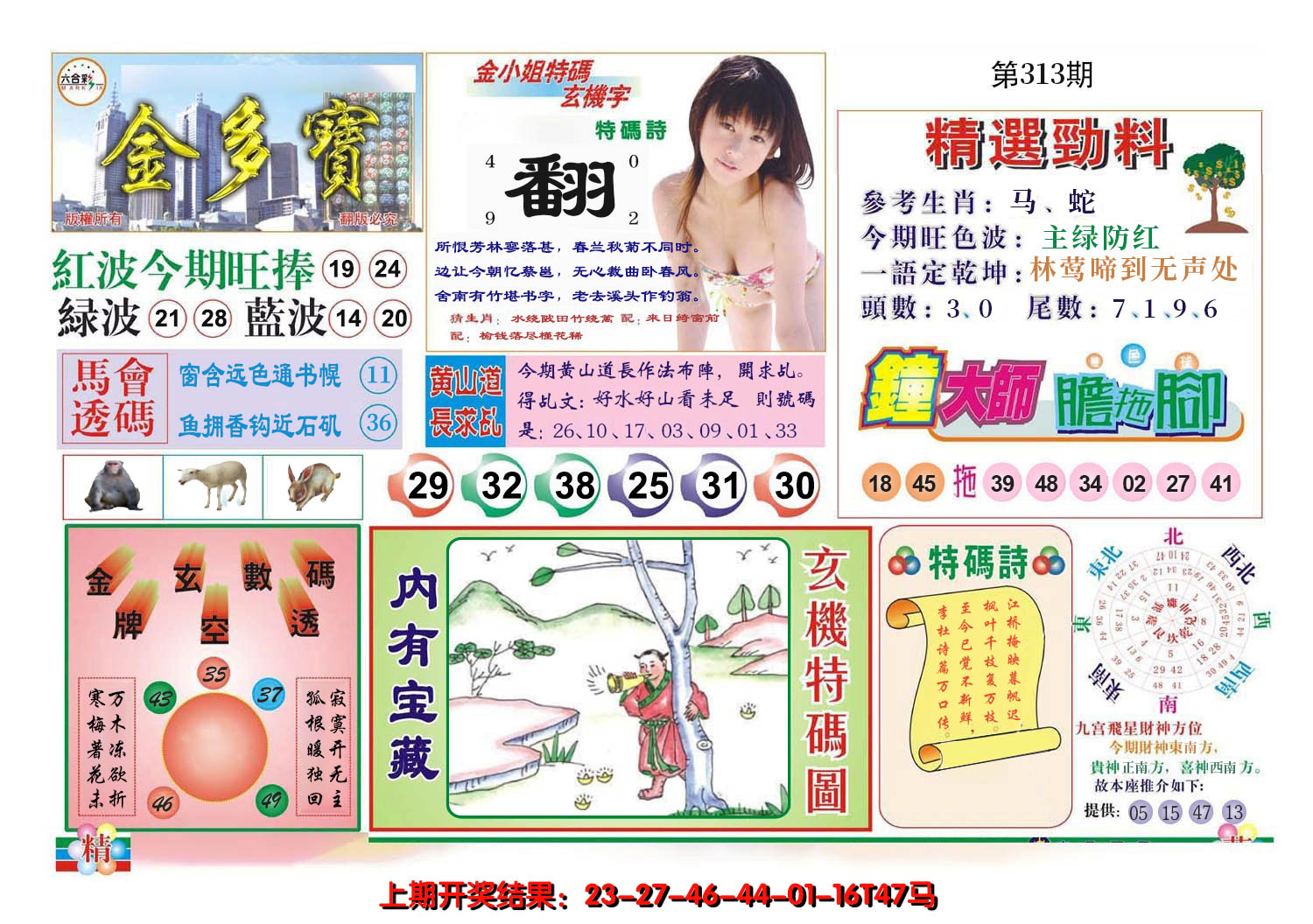 2024313期金多宝