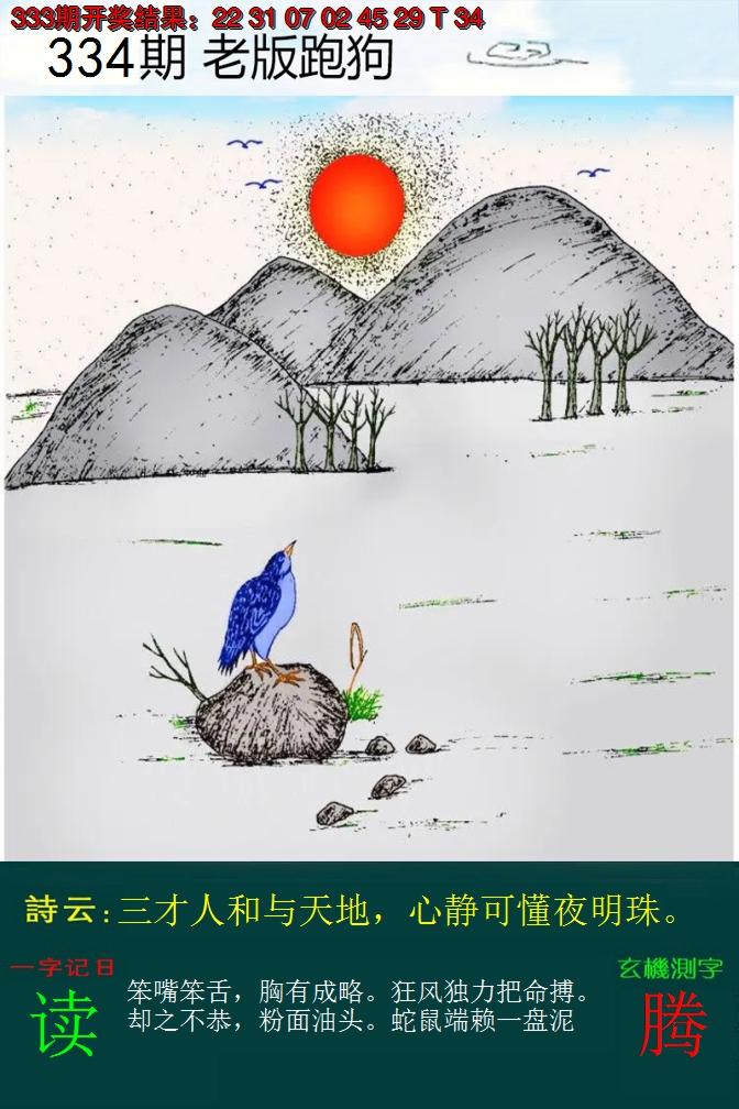 2024334期老版跑狗