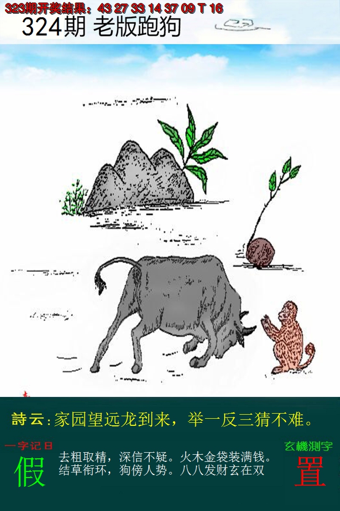 2024324期老版跑狗