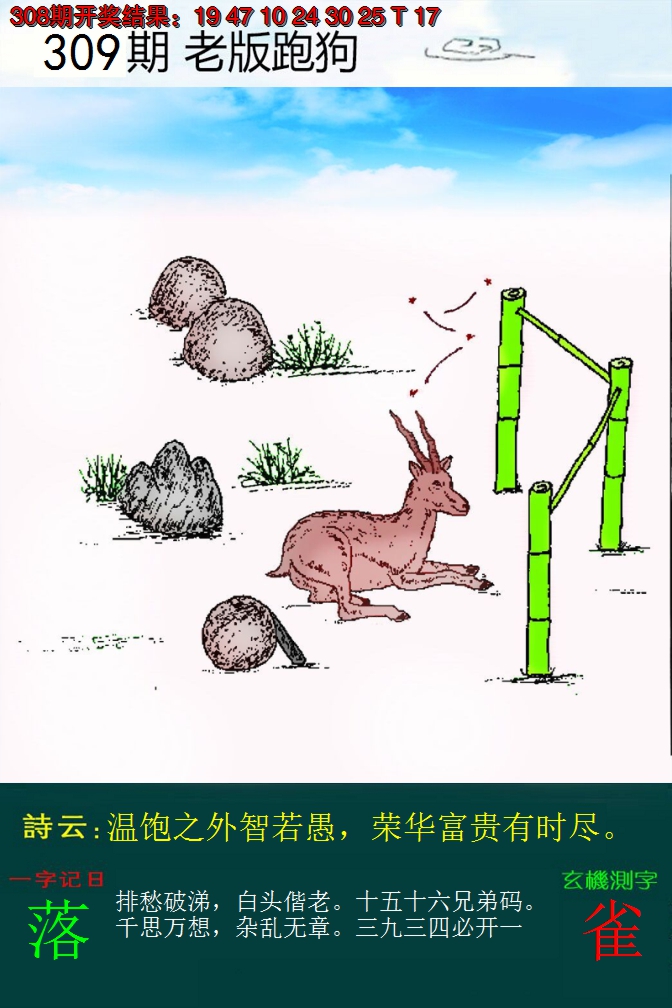 2024309期老版跑狗