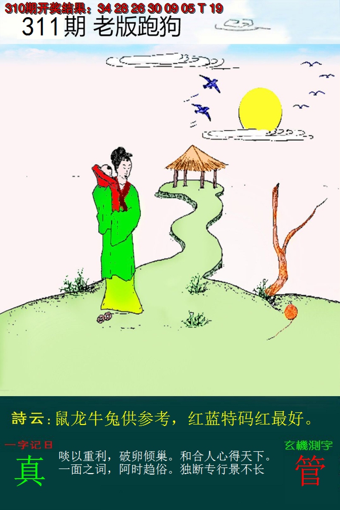 2024311期老版跑狗