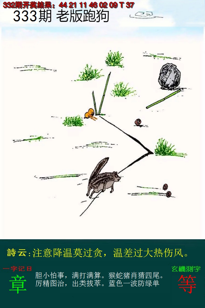 2024333期老版跑狗