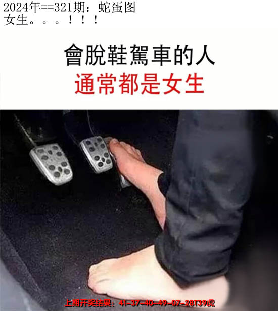 2024321期另版蛇蛋图