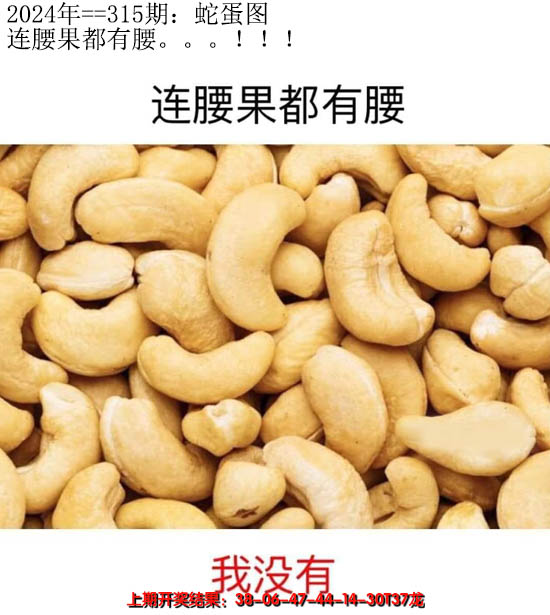 2024315期另版蛇蛋图