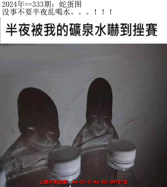 2024333期另版蛇蛋图