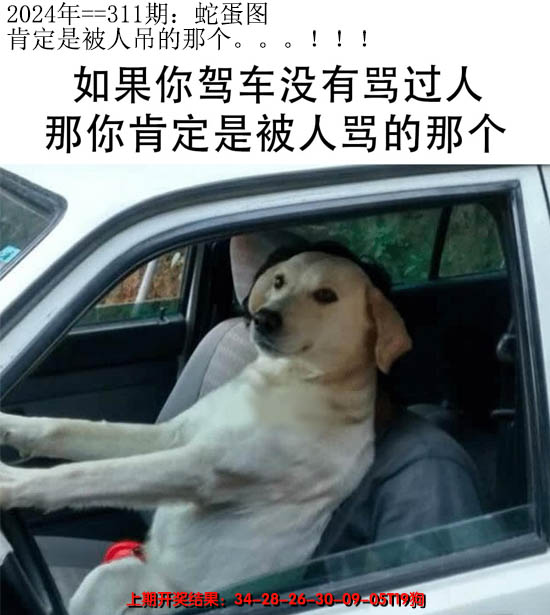 2024311期另版蛇蛋图