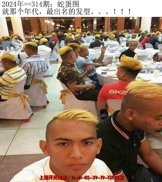 2024314期另版蛇蛋图