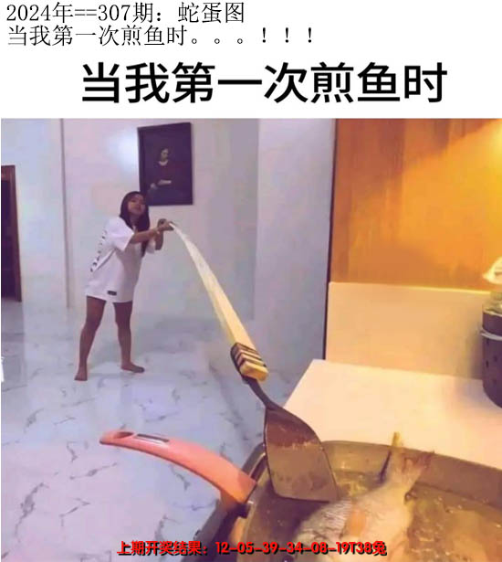 2024307期另版蛇蛋图