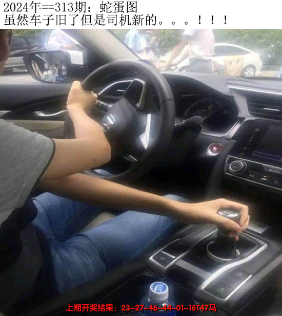 2024313期另版蛇蛋图
