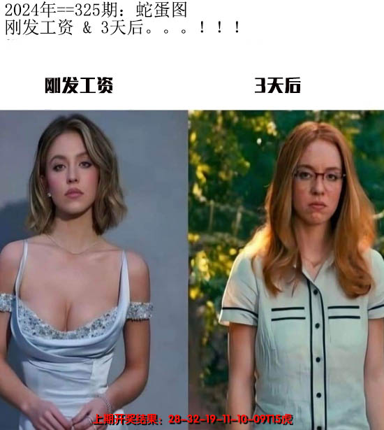 2024325期另版蛇蛋图