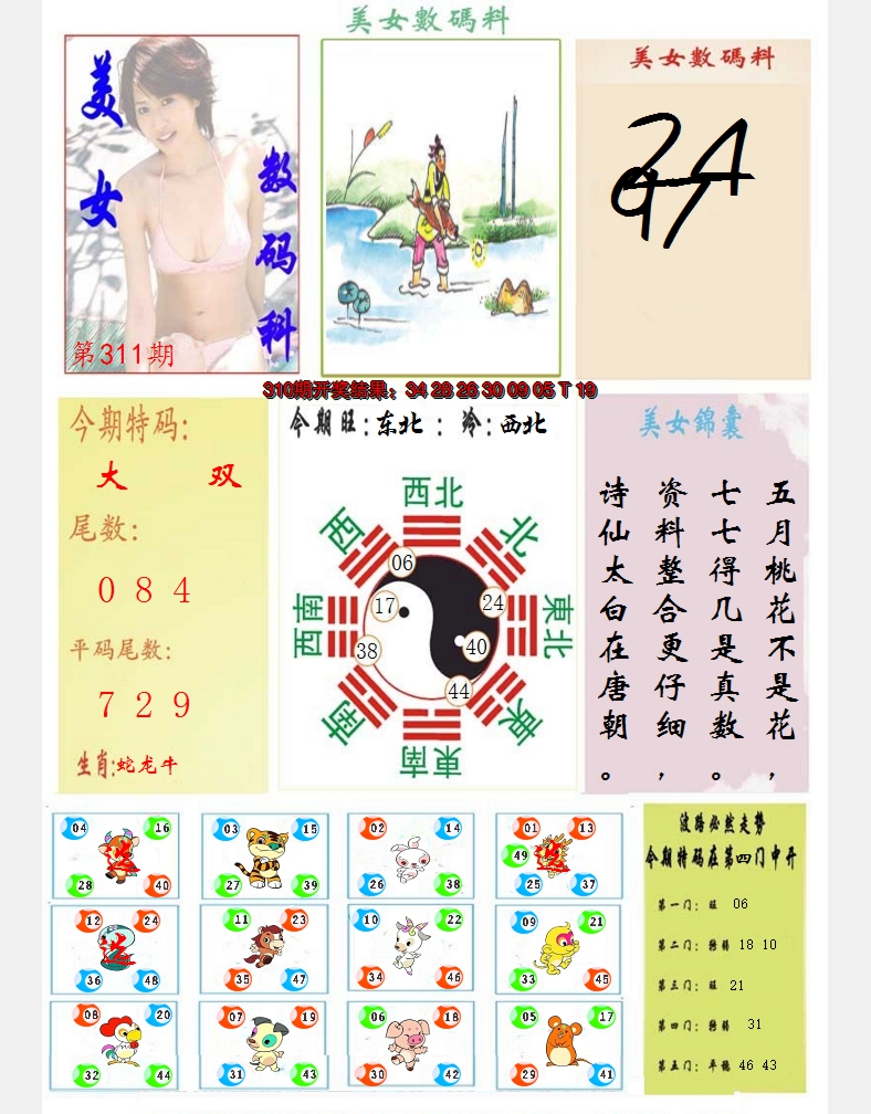 2024311期美女数码料