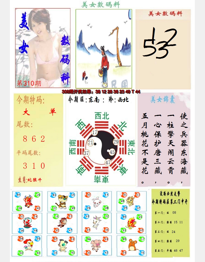 2024310期美女数码料