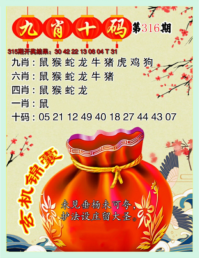 2024316期九肖十码