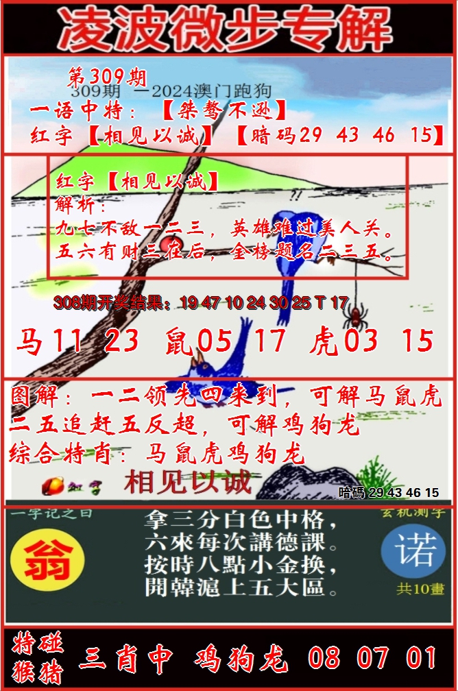 2024309期凌波微步