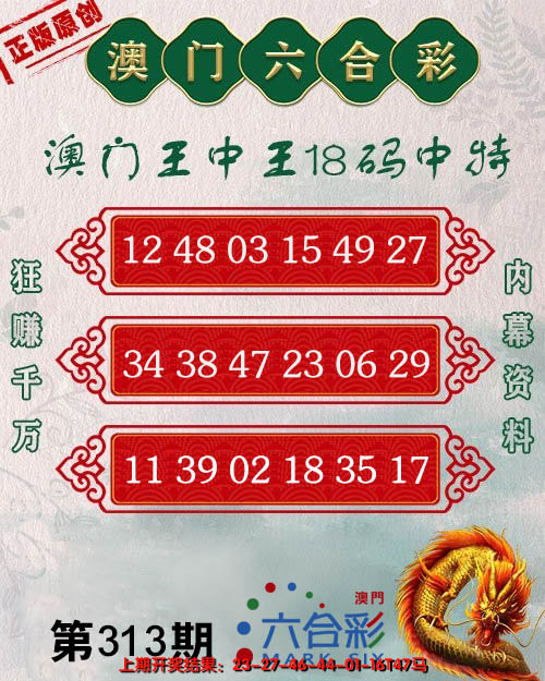 2024313期王中王18码